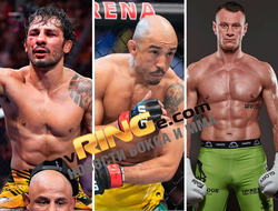 фото - Главные бои ММА в мае 2024 года