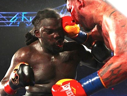 фото - Реванш Стиверн-Арреола: отменены торги промоутеров