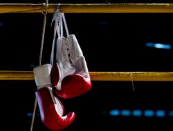 фото - «Суперсерия для бедных»: озвучена дата решающих поединков турнира