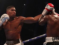 фото - Джошуа и Такам недовольны работой рефери, камерунец вежливо просит реванш