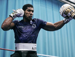 фото - Голодный лев Джошуа, Уайлдер благодарит Ортиса, Баррера вспоминает о Моралесе — соцсети 