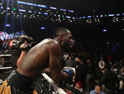 фото - СМИ: Уайлдер и Бризил подерутся на PPV