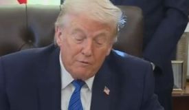 UFC White House пройдёт со зрителями — Трамп обещает 100-тысячную арену перед Белым домом