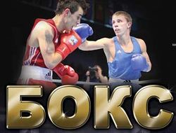 фото - В Ивано-Франковске стартует 22-й чемпионат Украины по боксу среди мужчин