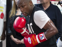 фото - Скоро в «бой»! 45-летний Мейвезер резво отрабатывает на лапах — видео