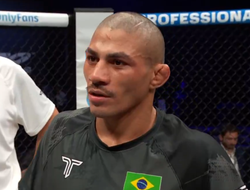 фото - PFL World Tournament 2 пестрел сабмишнами: результаты