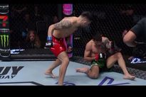 UFC on ESPN: Николау – Перес. Видео лучших моментов, бонусы турнира