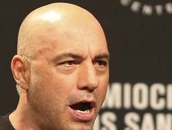 фото - «Прикосновение смерти». Уайлдер — самый впечатляющий нокаутёр в истории, считает Джо Роган