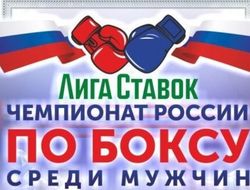 фото - Итоги чемпионата России по боксу 2020 среди мужчин: все победители и призёры