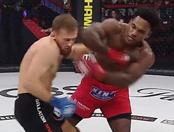 фото - Жуткий нокаут в бою Ларкин–Берхамов на Bellator 290: видео