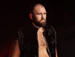 фото - Фьюри отбоксирует в Роттердаме, у Донована вояж в Австралию