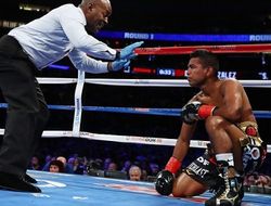 фото - WBC назначил реванш Гонсалес–Рунгвисаи, Куадрас и Эстрада оспорят «временный» титул