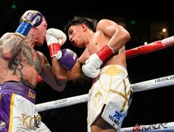 фото - Сколько Мунгиа и Росадо заработали за свой искромётный махач: цифры