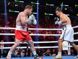 фото - Санчес: «Канело и Головкин? Было похоже на дружеский спарринг»