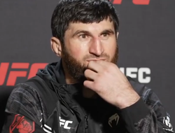 фото - Анкалаев нокаутировал Уокера в реванше. Реакция ММА сообщества