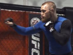 фото - Работа Конора Макгрегора на лапах — видео тренировки