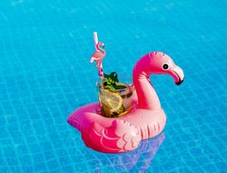 фото - «Розовый фламинго» Энг ярко вышел, падал, но удосрочил оппонента (+ видео)