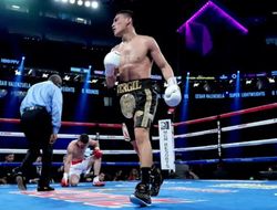 фото - Вёрджил Ортис удосрочил Майкла Маккинсона: видео