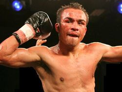 фото - Хуан Мануэль Маркес выиграл у Майка Альварадо