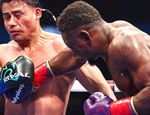 В WBC заказали «вкусный» реванш. Первый бой претендует на звание лучшего
