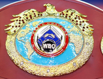 Обновился рейтинг WBO: Сиренко и Гассиев в минусе