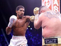 фото - С каким весом Джошуа выйдет на бой с Усиком? Рассказывает промоутер