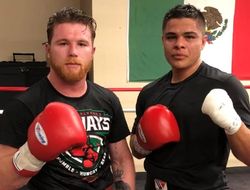 фото - Спарринг-партнёр Альвареса: Не сомневаюсь, что он побьёт Головкина в реванше