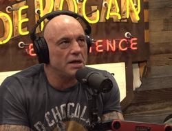 фото - Роган фигурирует в файлах Эпштейна. Реакция комментатора