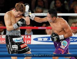 фото - В WBO анонсировали реванш: встретятся действующий и бывший бойцы «паунда»