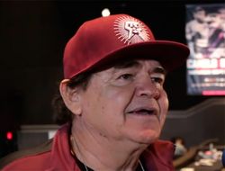 фото - «Рождённый ползать — летать не может»: тренер Альвареса о Головкине