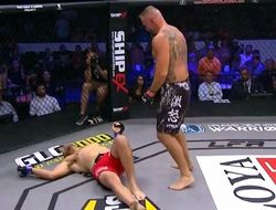 фото - Лучшие стратегии ставок на MMА