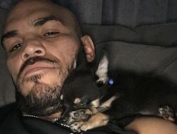 фото - Фьюри уворачивается от палок, белые игрушки Мэйуэзера, Малиньяджи плюнул в Макгрегора — соцсети