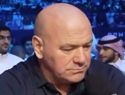 фото - В UFC пообещали повысить гонорары бойцам