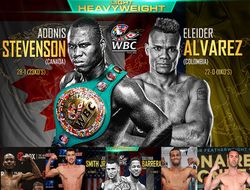 фото - В WBC запланировали ещё одну обязательную защиту для Стивенсона, Гвоздик — в игре