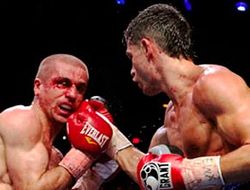 фото - (Результаты) Крис Элджиери перебоксировал Майка Арнаутиса