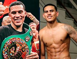 фото - Братья Бенавидесы — о реванше Геннадия Головкина и Сауля Альвареса