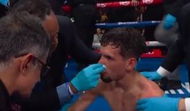 Претендент на нокаут года: Кэррингтон и Кастро разыграли титул