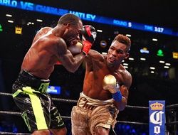 фото - Земля в элиминаторе — в WBC утвердили отборочный турнир в первом среднем весе