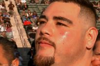 Видео боя: Энди Руис — Александер Димитренко