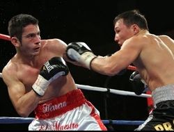 фото - Эррера надеется на бой с Маттиссе и реванш с Проводниковым 