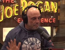 фото - Роган ответил на критику Роузи: «Если ты никогда не дрался, то и не п**ди»