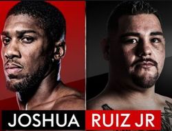 фото - Прямая трансляция. Пресс-конференция Джошуа и Руиса в Нью-Йорке — видео