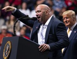 фото - Стратегия: Ставки на UFC самые прибыльные