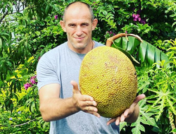 фото - Дилемма Кудряшова, Рябинский передаёт опыт Сигалу, хайлайты Шелестюка — соцсети 