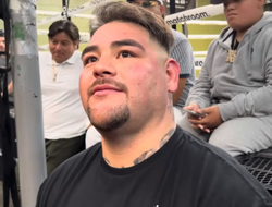 фото - Руис оценил шансы Бенавидеса в хэвивейте