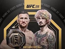 фото - Прямая трансляция UFC 316: Мераб Двалишвили – Шон О'Мэлли 2. Смотреть онлайн