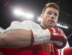 фото - Альварес вновь чемпион мира: нокаутирован Лиам Смит