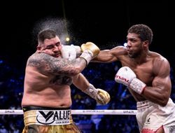 фото - Тренер Альвареса о сотрудничестве с Руисом: Уже знаю, над чем будем работать