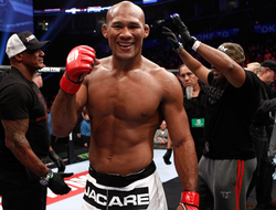 фото - UFC on FOX 15: «Жакаре» Соуза быстро расправился с Камоцци