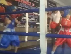 фото - Династия. В любителях дебютировал Анатолий Ломаченко-младший — видео боя